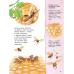 Как живёт пчёлка. Познавательные истории
